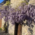 Delightful French Rustic Appartamento