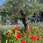 Appartamento Delightful French Rustic *