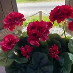 Appartamento Delightful French Rustic