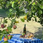 Appartamento Delightful French Rustic Jumilhac-le-Grand