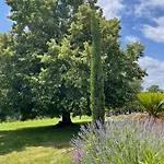 Delightful French Rustic Appartamento Jumilhac-le-Grand