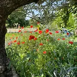 Delightful French Rustic Appartamento Jumilhac-le-Grand