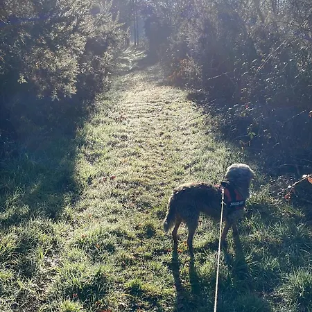 Apartment Delightful French Rustic *