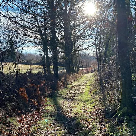 Delightful French Rustic Apartment Jumilhac-le-Grand