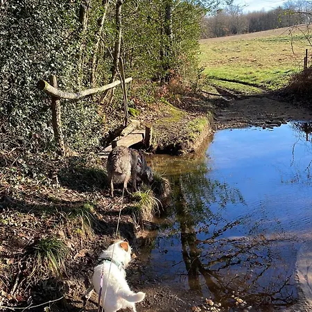 Delightful French Rustic *