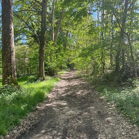 Delightful French Rustic