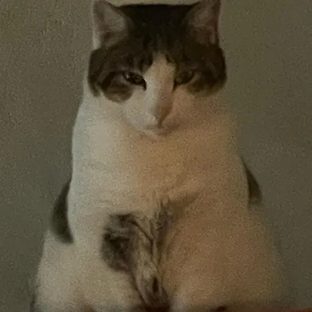 Delightful French Rustic * Jumilhac-le-Grand