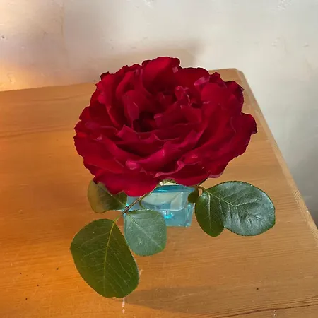 Delightful French Rustic Jumilhac-le-Grand