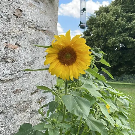 Apartment Delightful French Rustic *