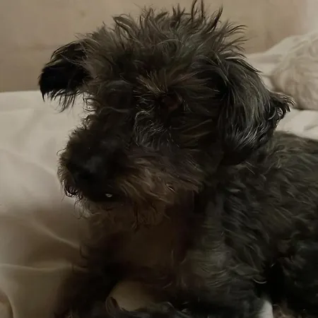 Delightful French Rustic Apartment Jumilhac-le-Grand