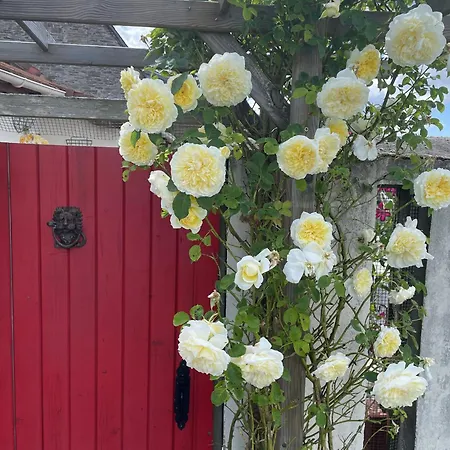 Delightful French Rustic Apartment Jumilhac-le-Grand