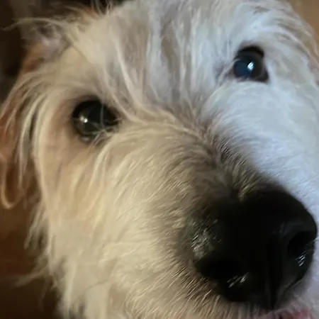 Delightful French Rustic Apartment *