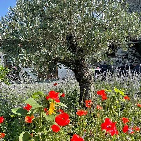 Apartment Delightful French Rustic *