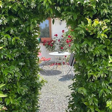 Delightful French Rustic