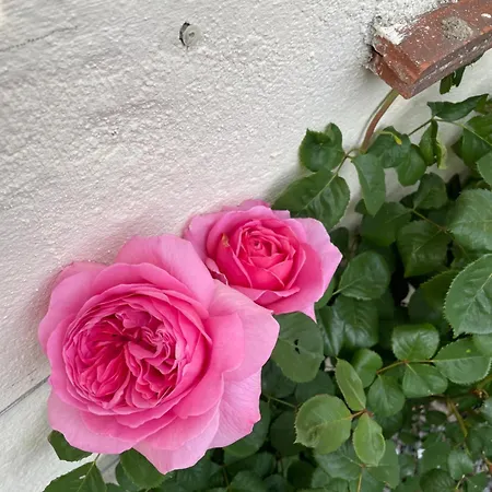 Apartment Delightful French Rustic Jumilhac-le-Grand