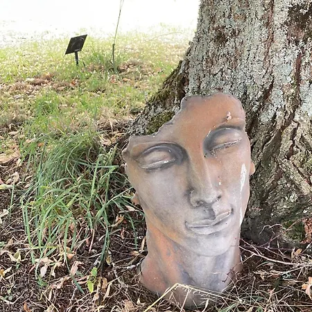 Delightful French Rustic *