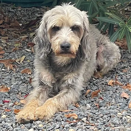 Delightful French Rustic Apartment *