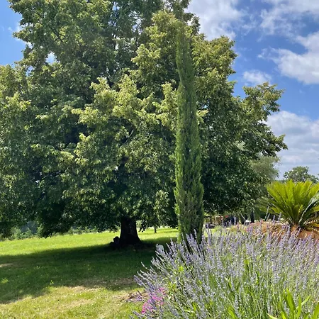 Delightful French Rustic Apartment Jumilhac-le-Grand