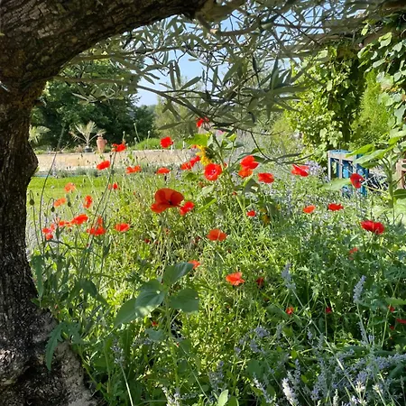 Delightful French Rustic Apartment Jumilhac-le-Grand