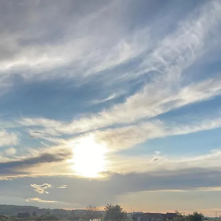 Delightful French Rustic *