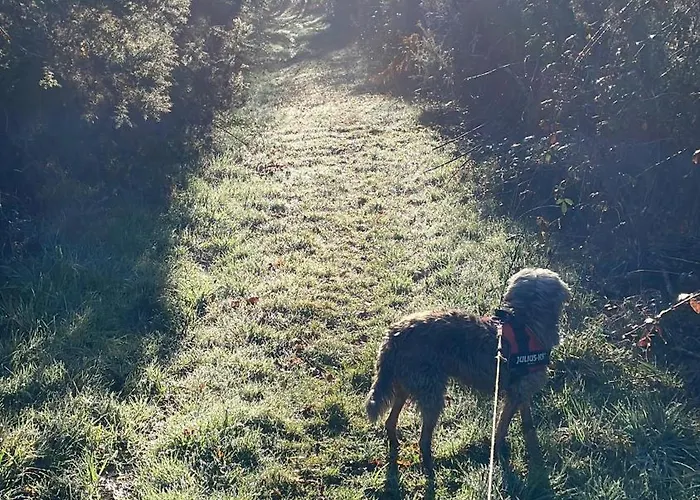 Апартаменты Delightful French Rustic *