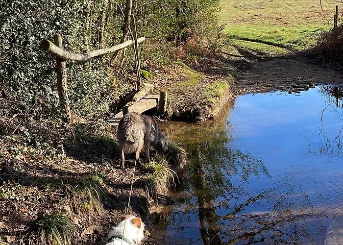 Delightful French Rustic *