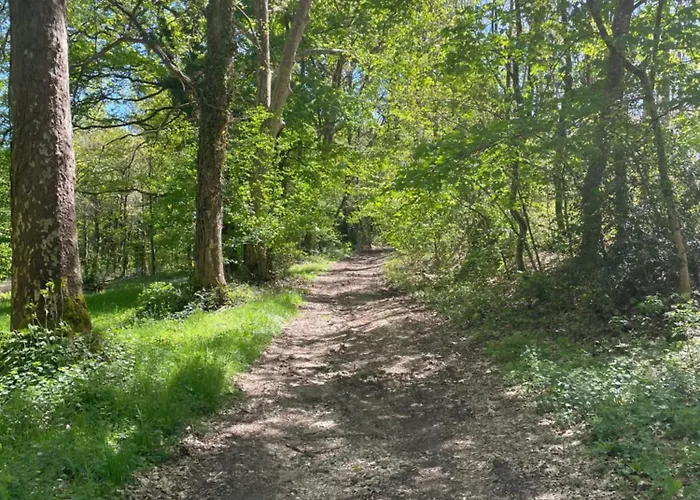 Delightful French Rustic