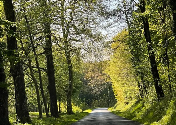 Апартаменты Delightful French Rustic *