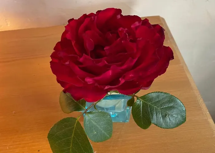 Delightful French Rustic Jumilhac-le-Grand