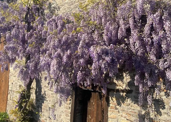 Delightful French Rustic Апартаменты