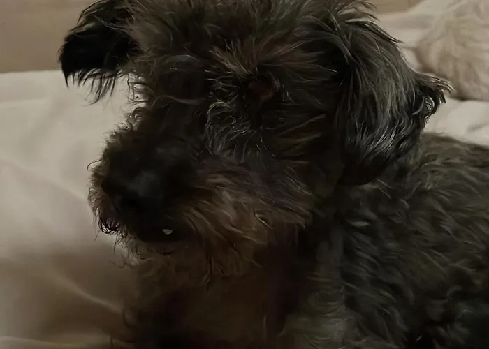 Delightful French Rustic Апартаменты Jumilhac-le-Grand