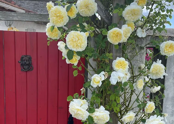 Delightful French Rustic Апартаменты Jumilhac-le-Grand