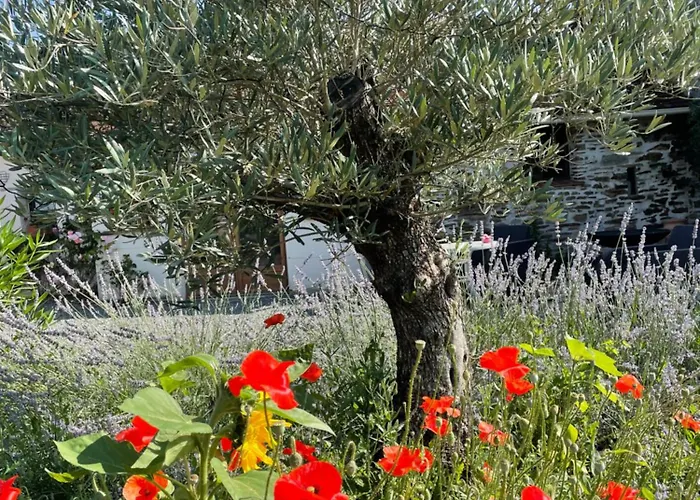 Апартаменты Delightful French Rustic *