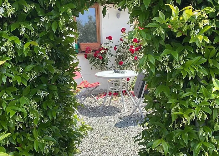 Delightful French Rustic