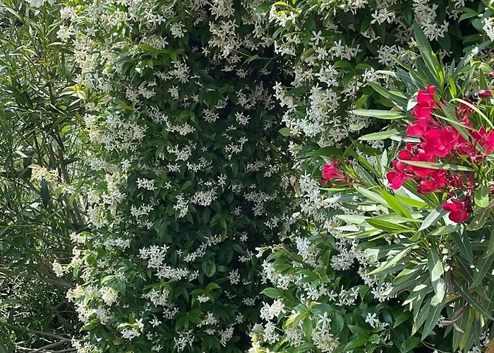 Delightful French Rustic Апартаменты *