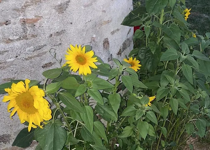 Delightful French Rustic Апартаменты *