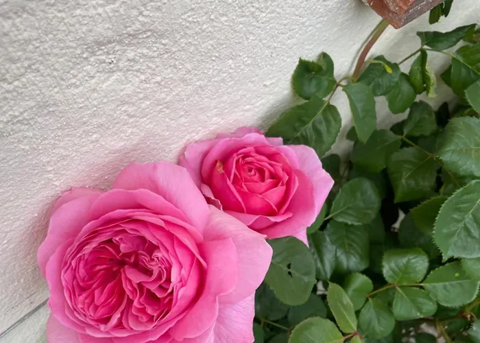 Апартаменты Delightful French Rustic Jumilhac-le-Grand