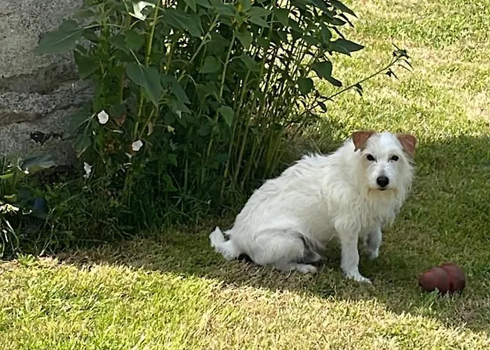 Delightful French Rustic Jumilhac-le-Grand