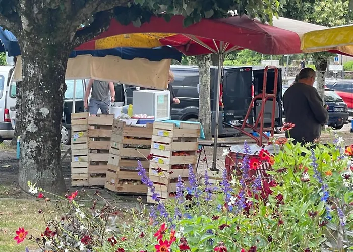 Апартаменты Delightful French Rustic