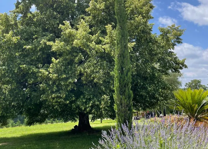 Delightful French Rustic Апартаменты Jumilhac-le-Grand