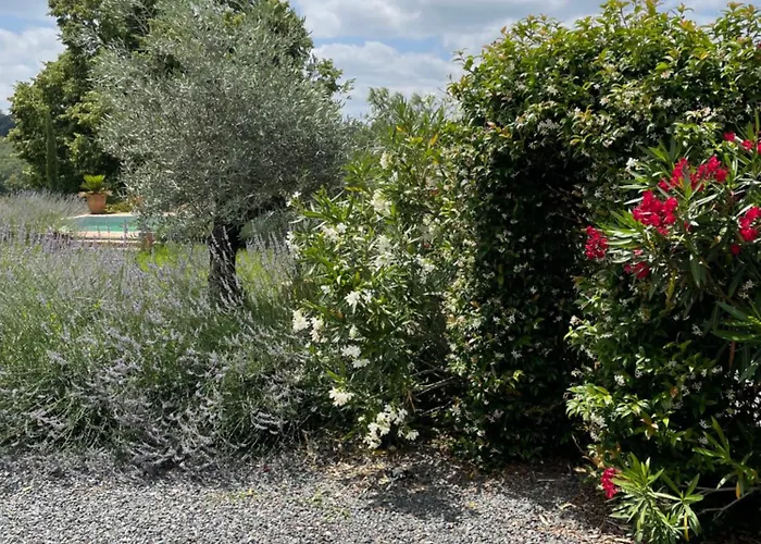 Апартаменты Delightful French Rustic Jumilhac-le-Grand