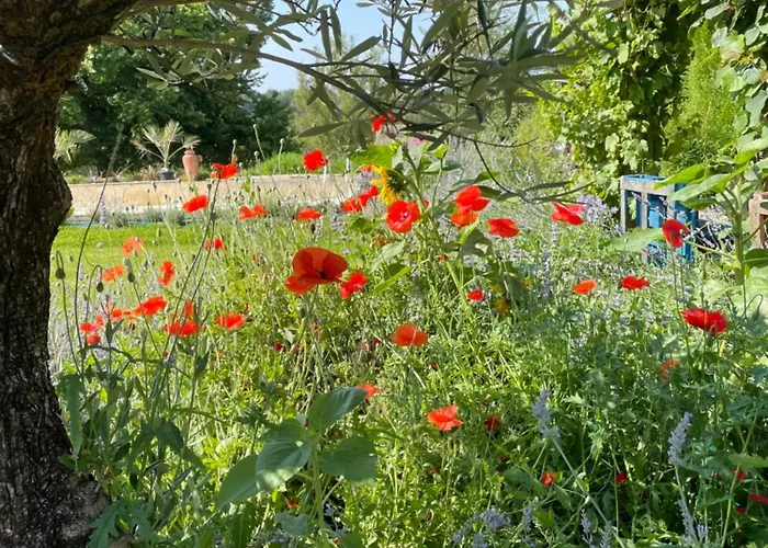 Delightful French Rustic Апартаменты Jumilhac-le-Grand